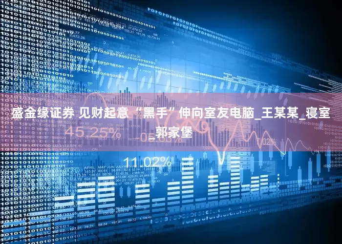盛金缘证券 见财起意 “黑手”伸向室友电脑_王某某_寝室_郭家堡