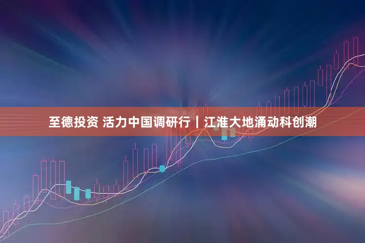 至德投资 活力中国调研行｜江淮大地涌动科创潮