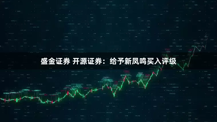 盛金证券 开源证券：给予新凤鸣买入评级